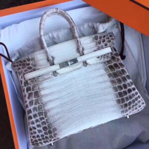 Hermès Birkin Alligator